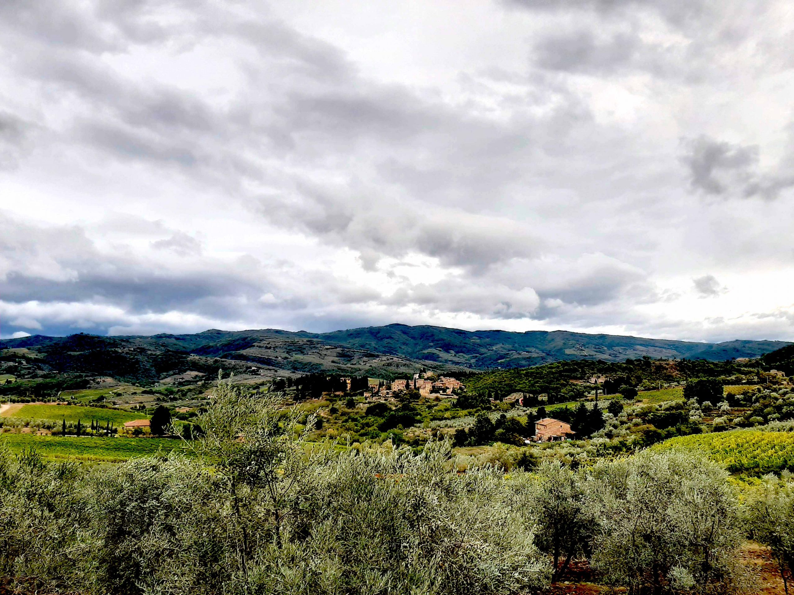Panorama_Montefioralle