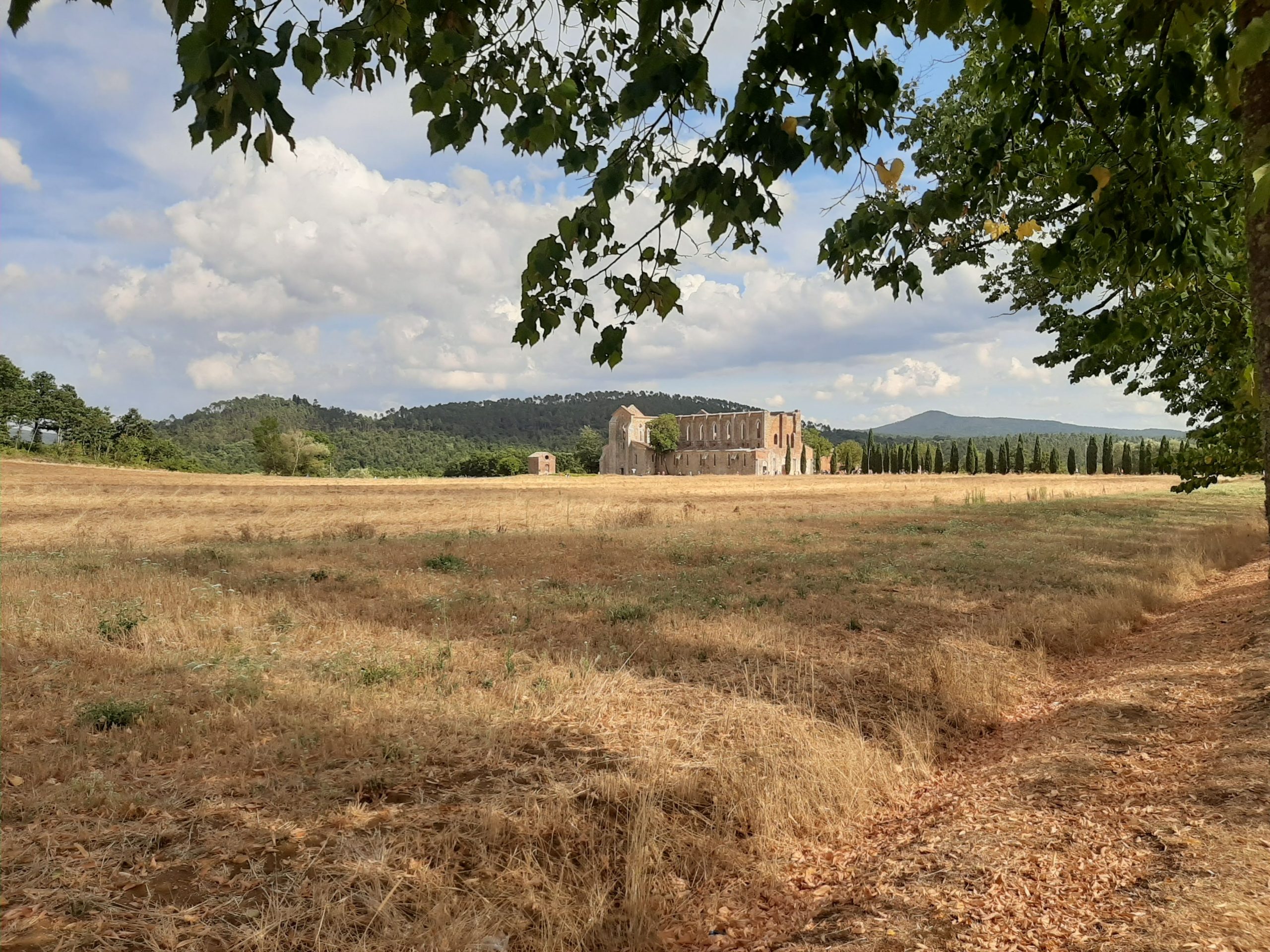 Monastero di San Galgano